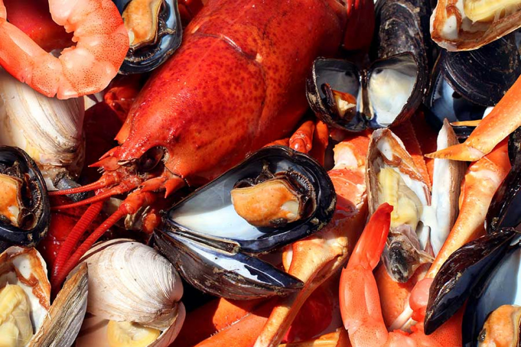 History Free Range Fish Lobster History Free Range Fish Lobster